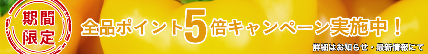 24時間限定！全品ポイント5倍実施中！