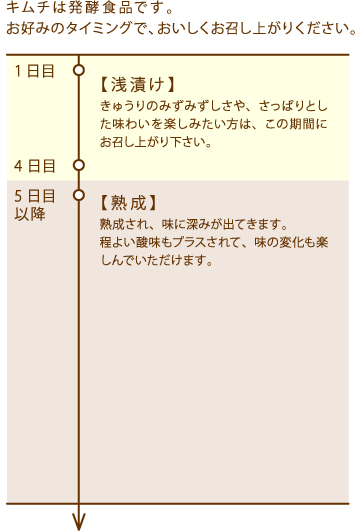 美味しいオイキムチ きゅうりキムチ なら本格手作り韓国キムチの老舗豊田商店通販サイト